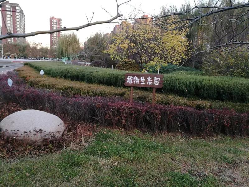 抚顺市第二中学地址,辽宁高级中学