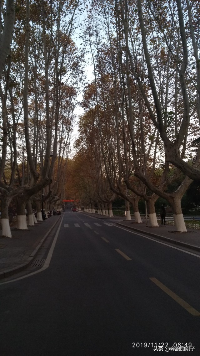 南京农业大学秋天美景,逛一下环境优美的南京农业大学