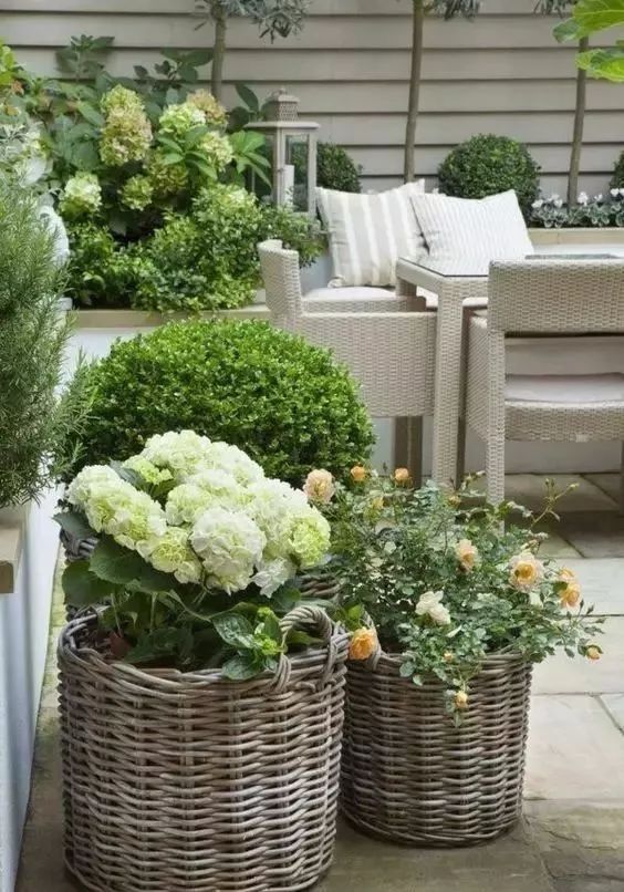 阳台变身小花园总有一款适合你,阳台可以打导致小花园吗