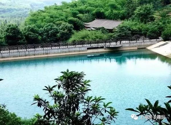 假期给大家送个福利,假期超强福利分享礼包