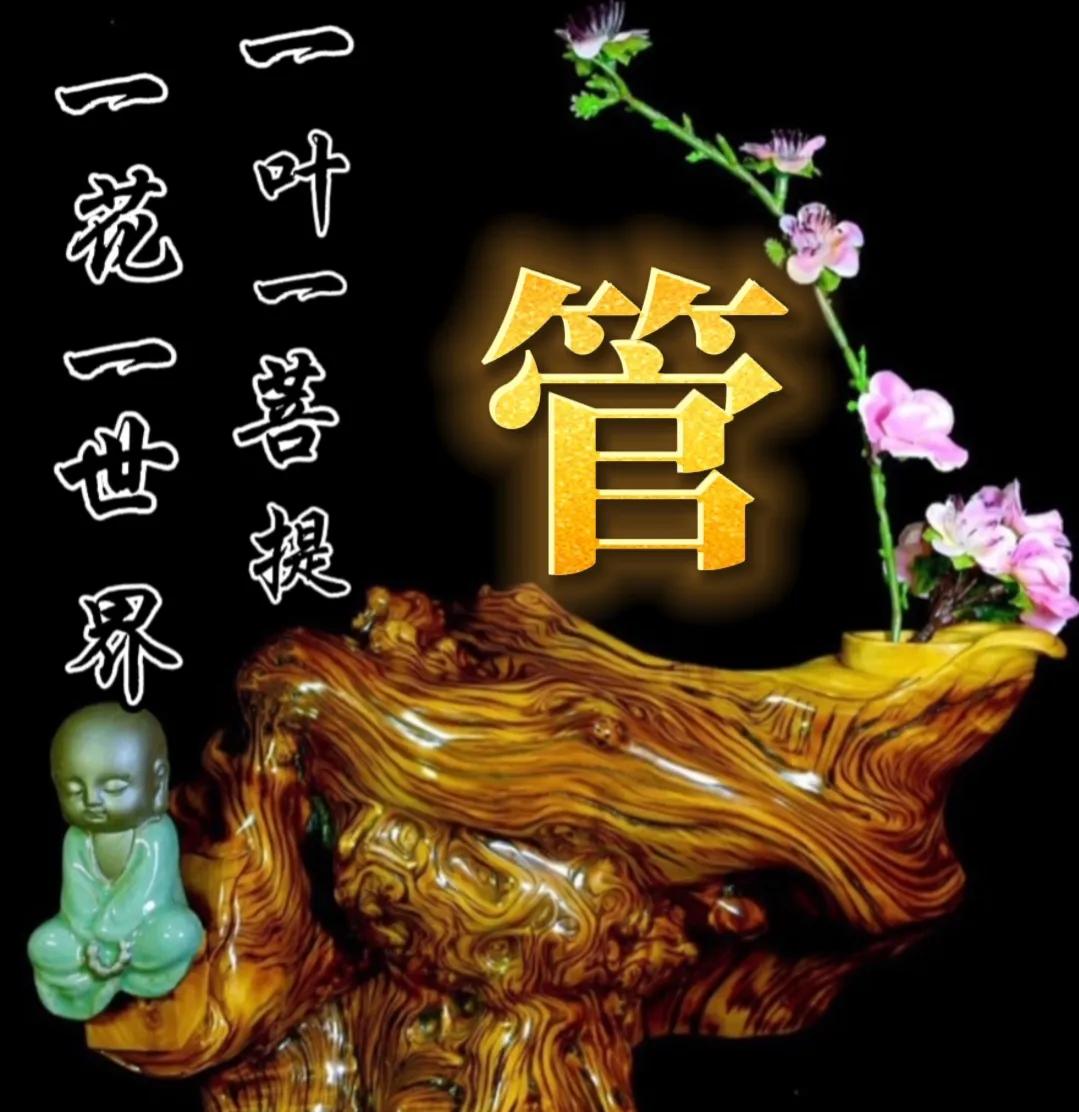 一花一世界一叶一菩提头像,一叶一菩提禅意微信头像