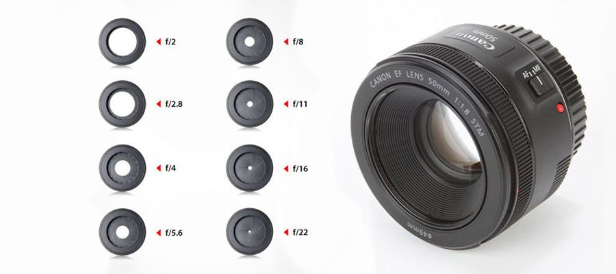 摄影基础知识入门什么是光圈,摄影教程5分钟帮助新手了解光圈