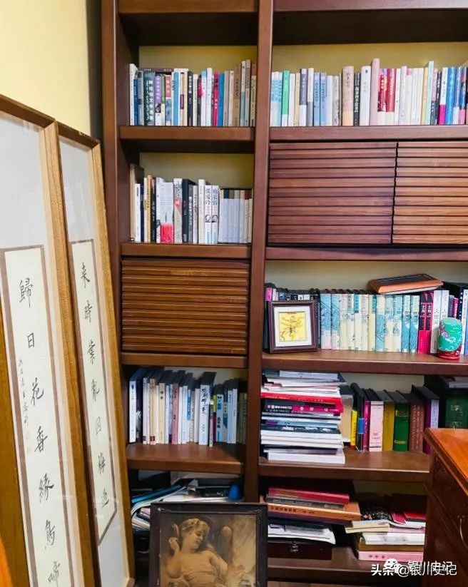 杨燕：我的书房为啥叫“晤园”