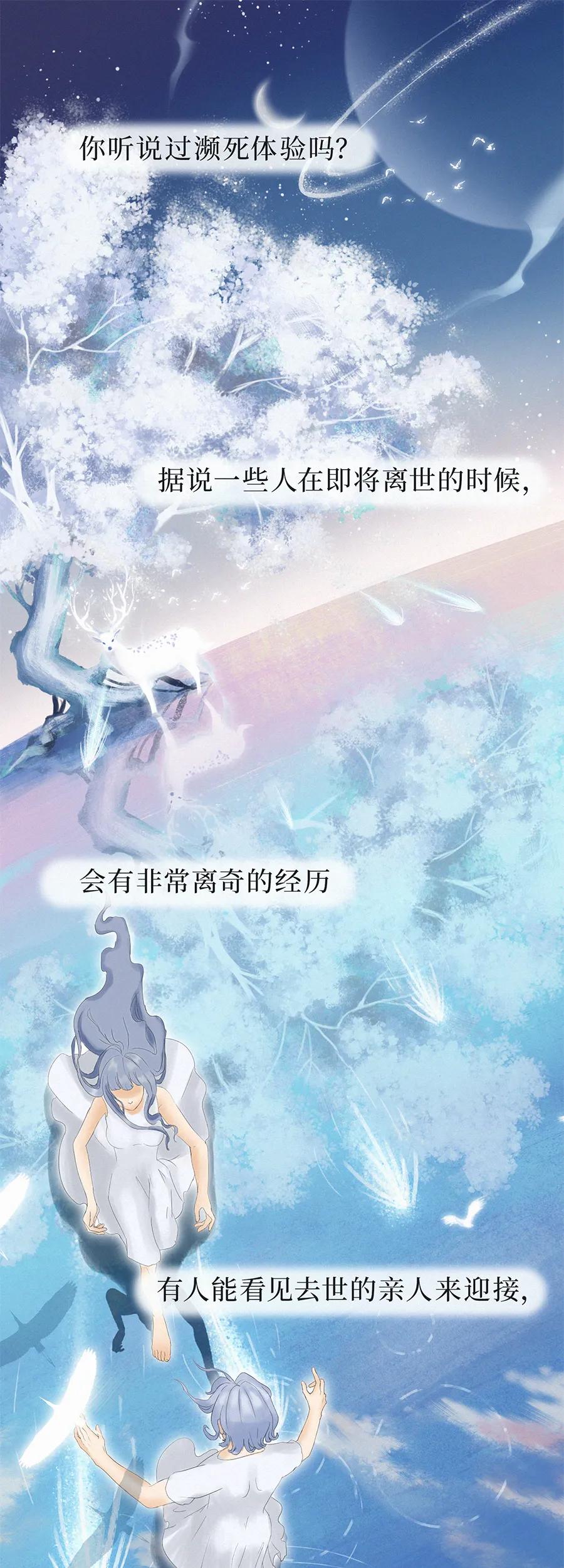 人死后才知道的真相,人死后可能会在哪