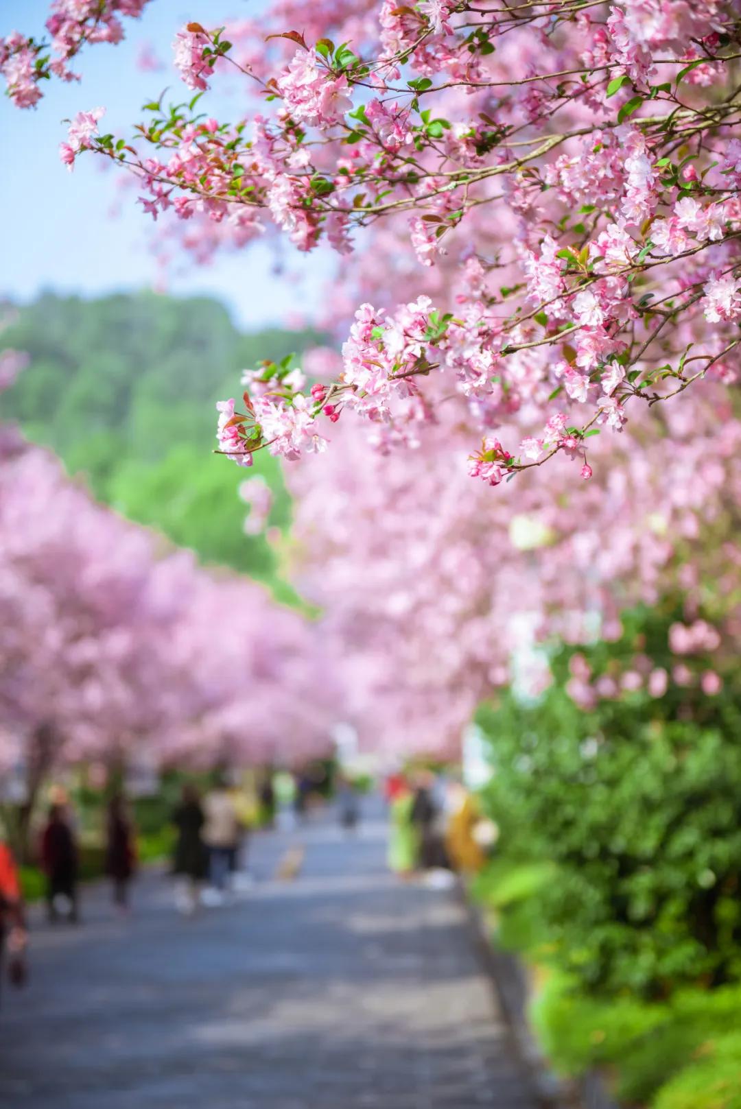 这是一个生机勃勃的地方关于它的故事才刚刚开始