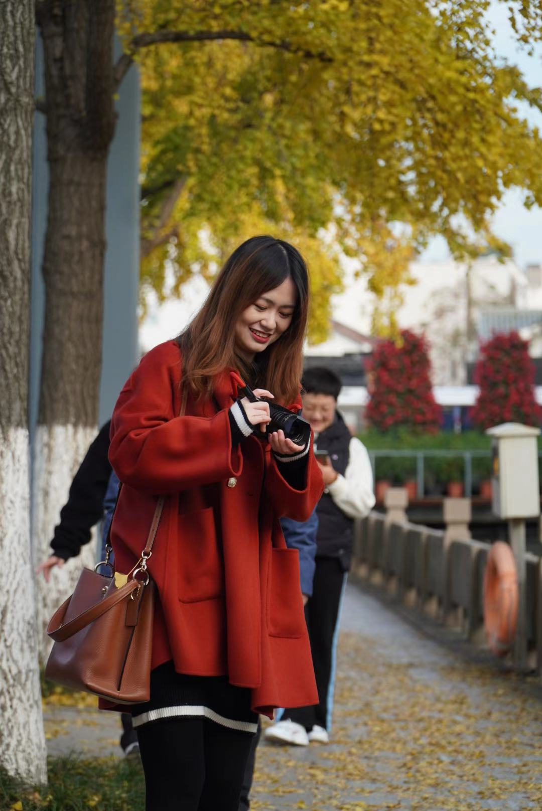 苏州银杏最好欣赏地有哪些地方,苏州银杏打卡地姑苏