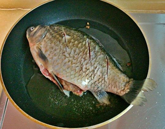 炖鱼加这1步鱼鲜汤白美味至极,如何炖鱼能炖出白汤教你两招