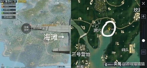 和平精英打卡地点情侣必去,和平精英特训岛的玫瑰花在哪