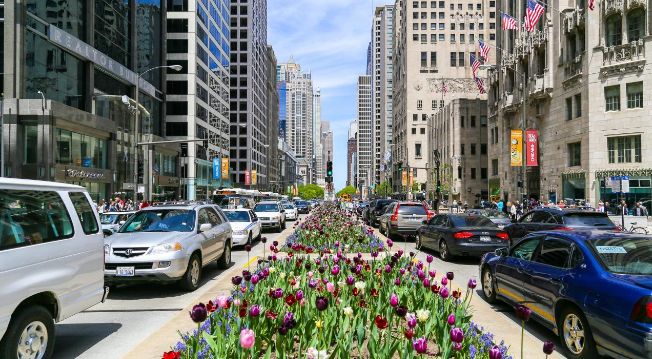 美国芝加哥有什么特点的东西,芝加哥giordano披萨