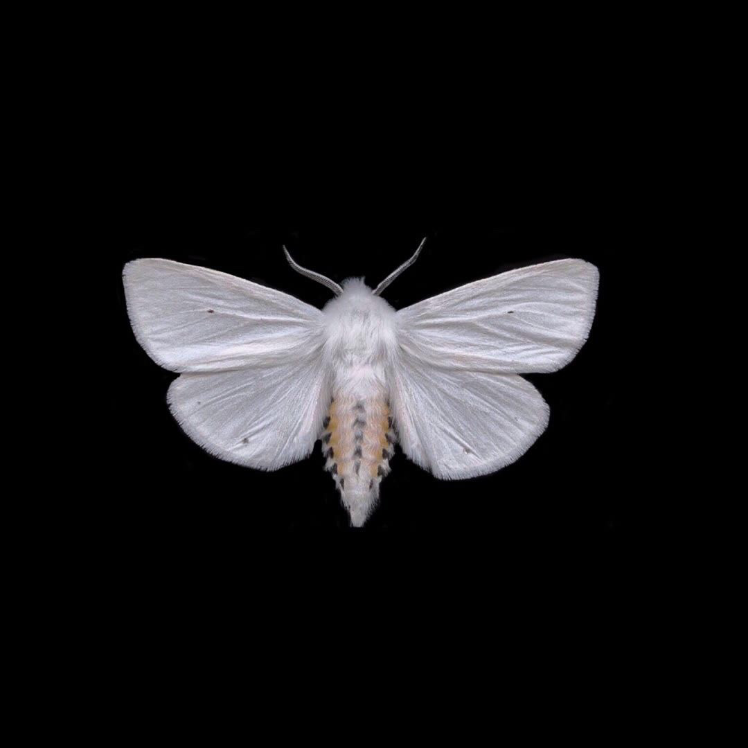 好看的微信聊天背景图男生,微信聊天背景图超清苹果