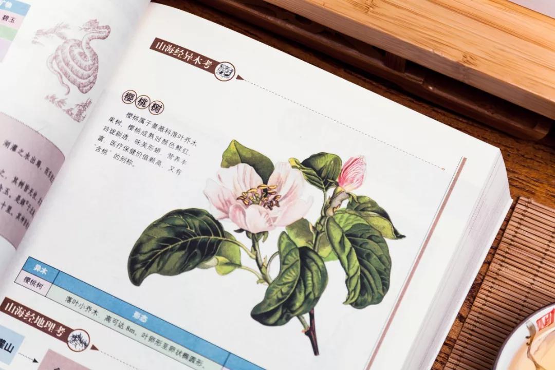 黄帝内经周易四大奇书,上古三大奇书山海经黄帝内经