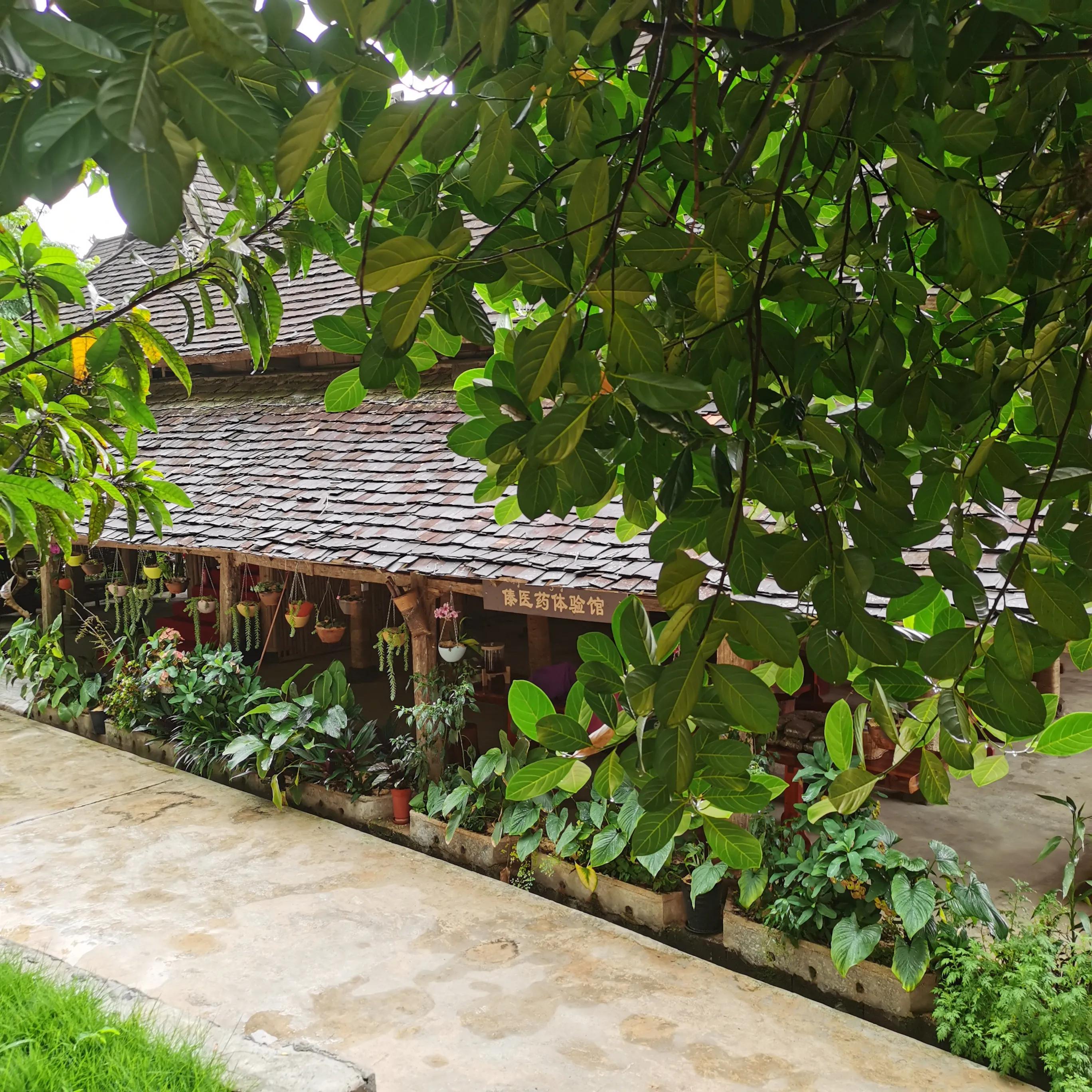 西双版纳曼远村游,西双版纳自由行一天攻略傣族园