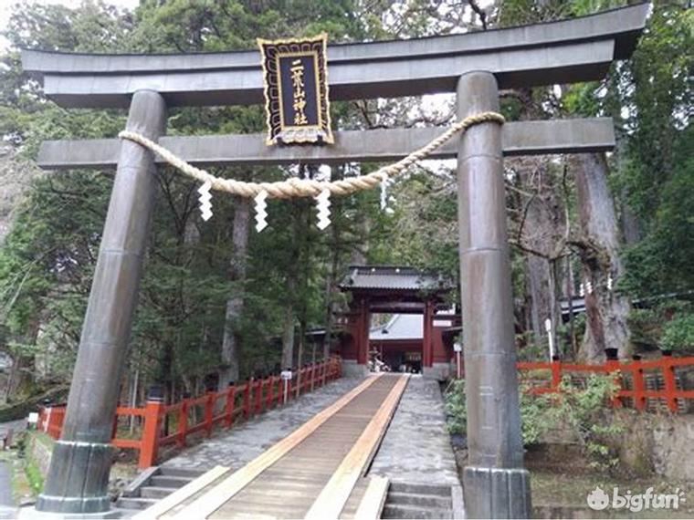 明日方舟种族考据,明日方舟考据党