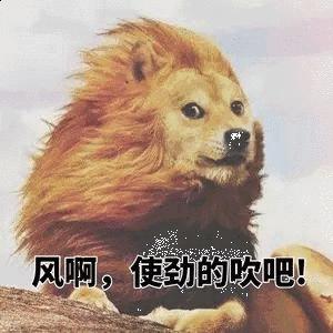 国产鞋都是怎么制造,国产鞋怎么能这么便宜