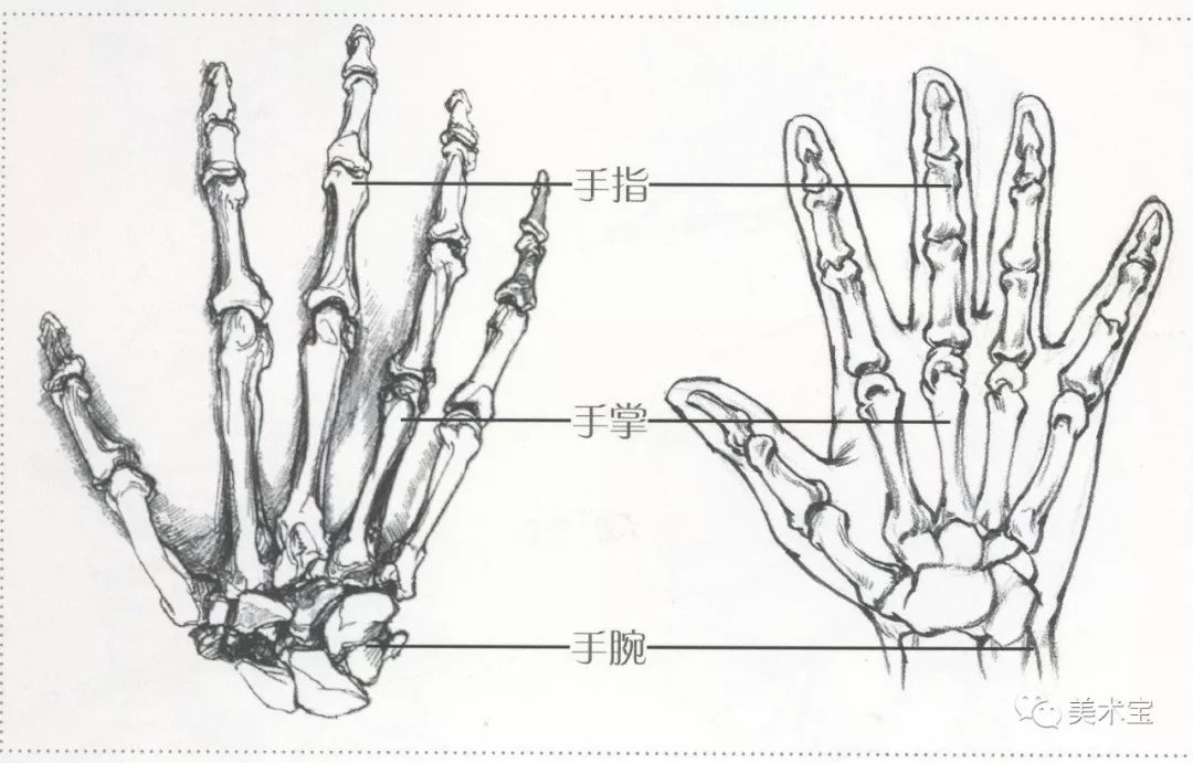 双十一要到了，这一百只手送给你们！随便“剁”！随便画