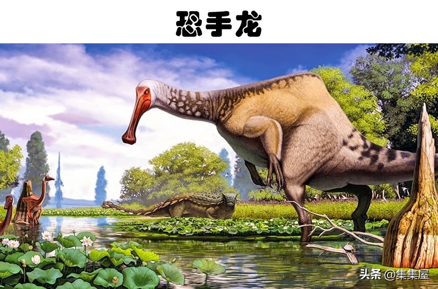 最有特点的十种恐龙介绍,世界上目前发现的最强的恐龙