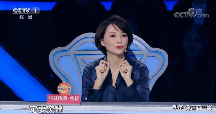 央视四大名嘴董卿,央视名嘴互怼完整版