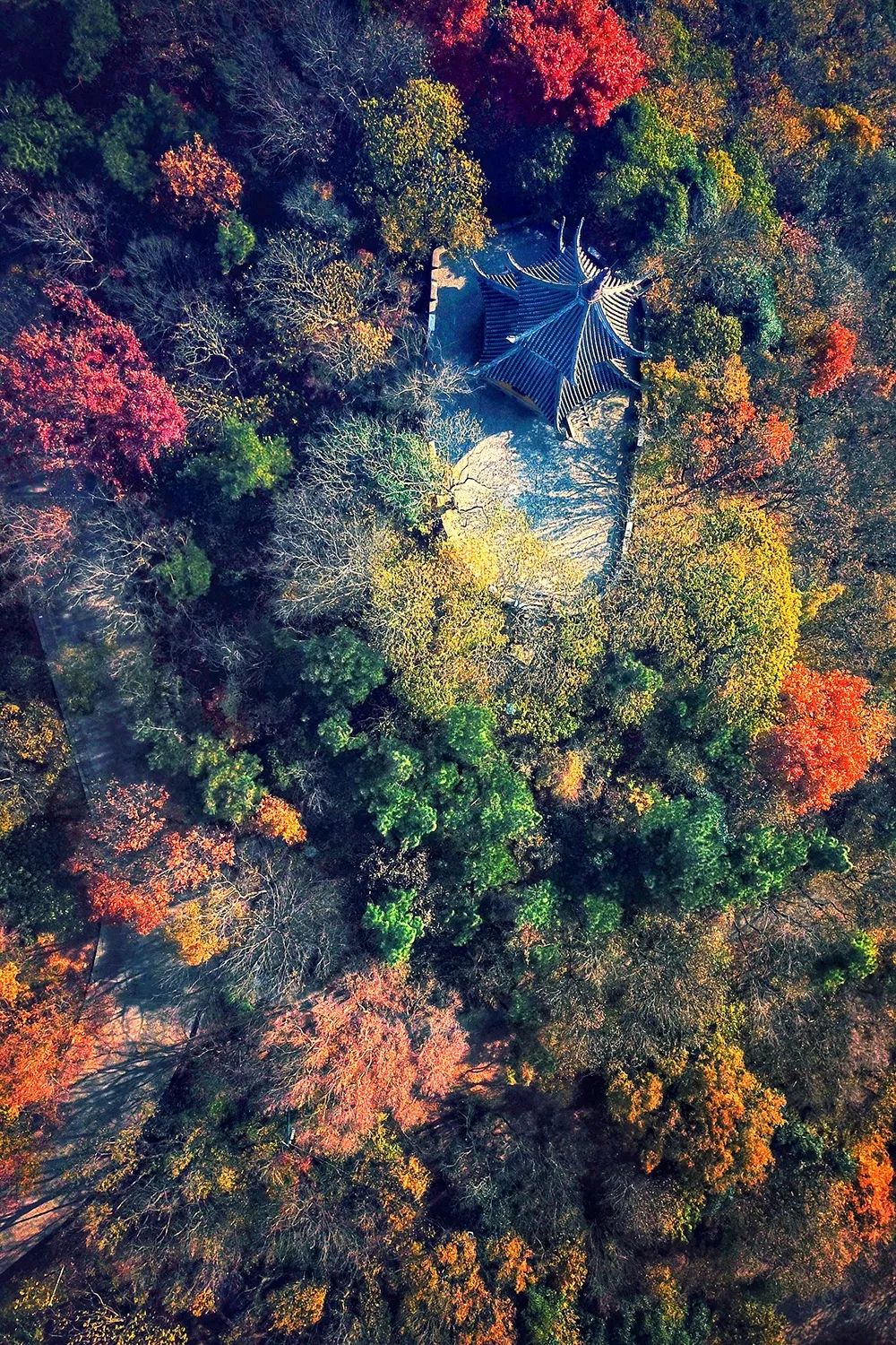 被严重低估的旅行地！如果你来江南古城常熟，我会带你去这里