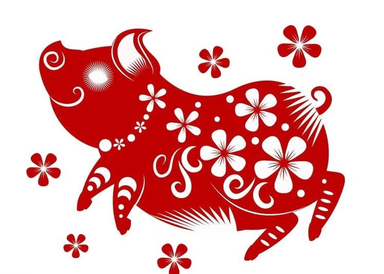 从丁亥到己亥—武昌水果湖中学六六届高三（1）班同学集会本命年