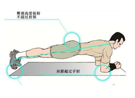 平板支撑100天的变化,平板支撑瘦肚子100天变化