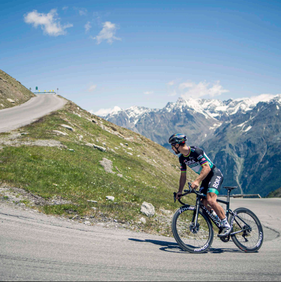 速度感人，价格感人Specialized发布全新公路车款TarmacSL7