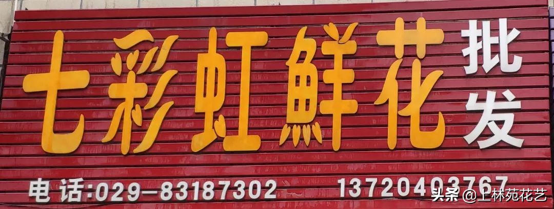 西安新年鲜花批发,西安鲜花店批发进货渠道