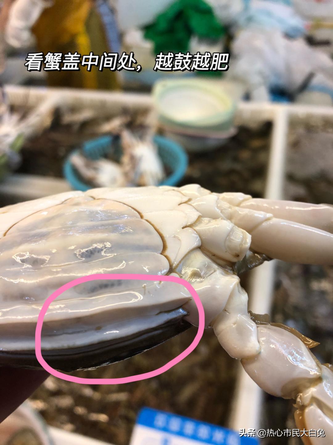 又到了吃螃蟹的季节你会挑吗,最适合吃螃蟹的季节是什么时候呢