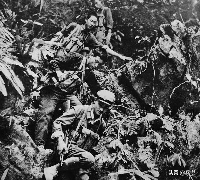 我军迷路战士路遇蟒蛇，顺藤摸瓜俘虏2名越南女特工