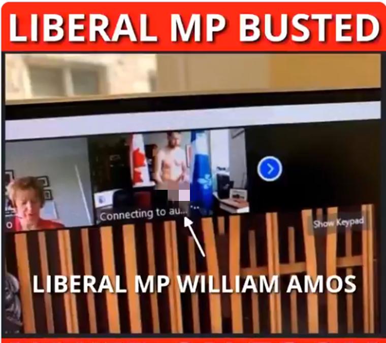 身材很好！加议员一丝不挂地出镜，这次当着特鲁多和众多议员的面