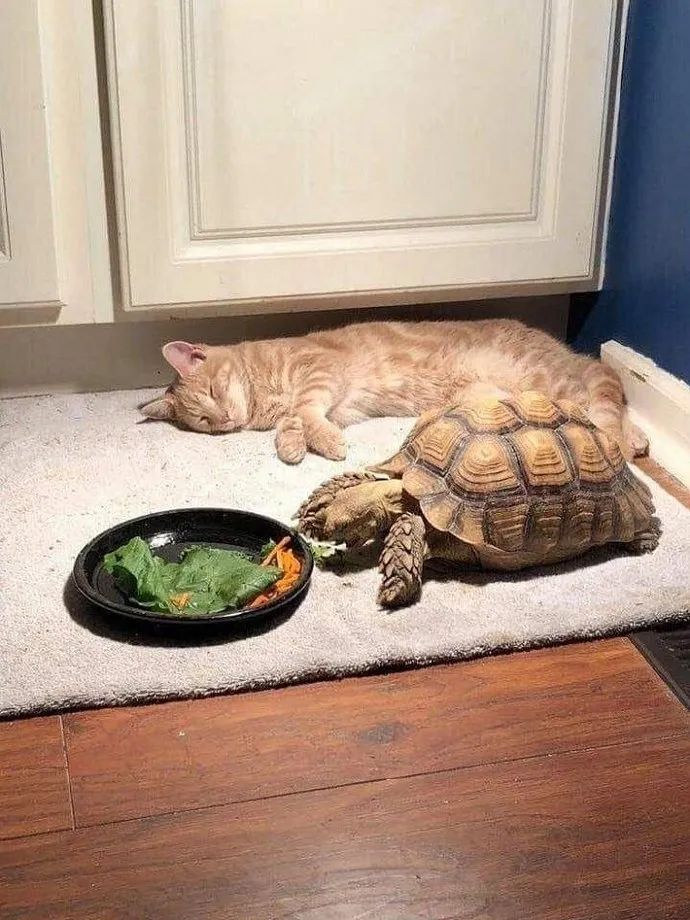 广东朋友发的，心酸中带着一丝好笑|冷段子1823