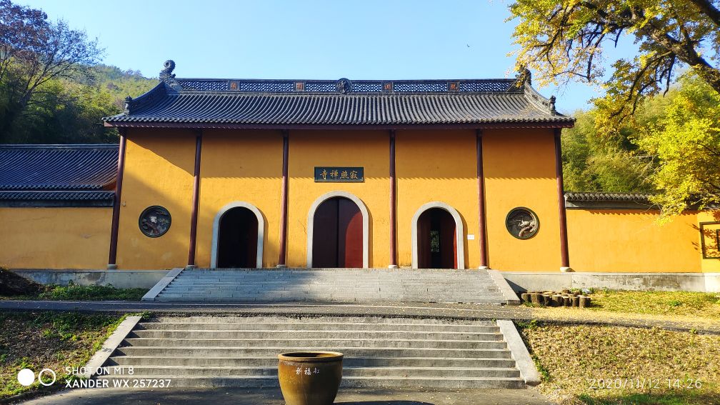 宜兴竹海十一月金色素材图片