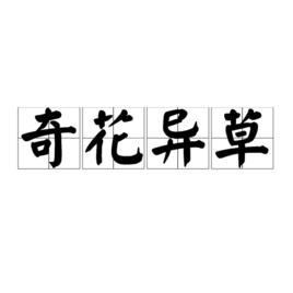 小学一年级描写花的诗句大全,描写花的好词好句摘抄