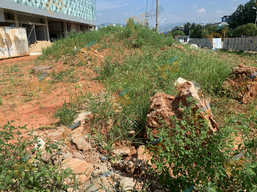 新建区望城红星美凯龙,南昌望城红星美凯龙什么时候开业