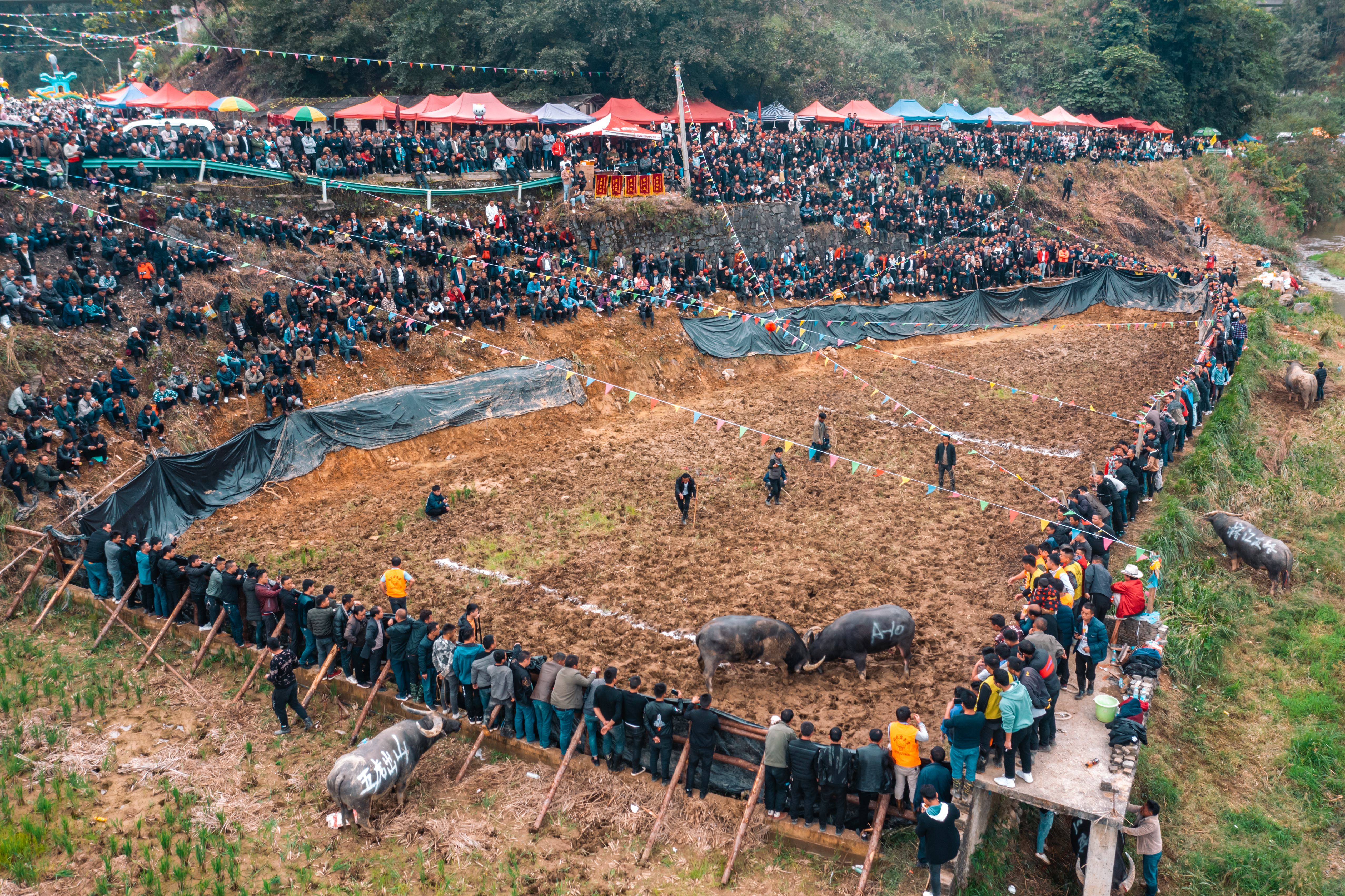 贵州人少景美的小村寨,贵州特点寨子