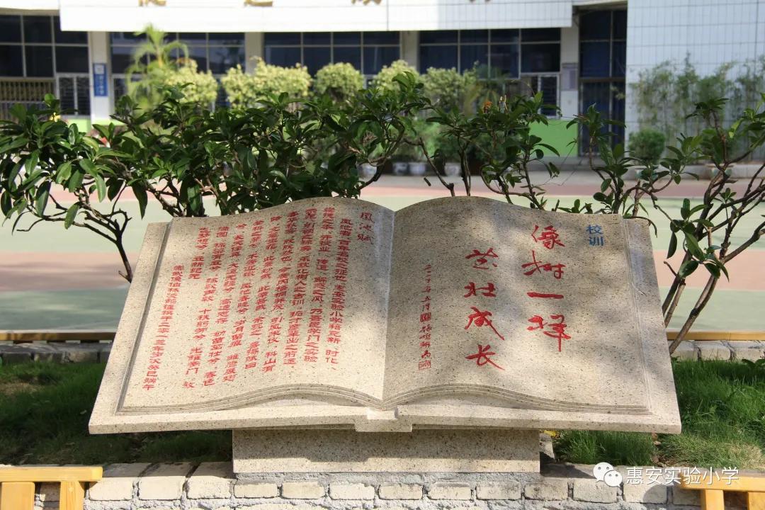 惠安实验小学怎样,实验小学育人体系