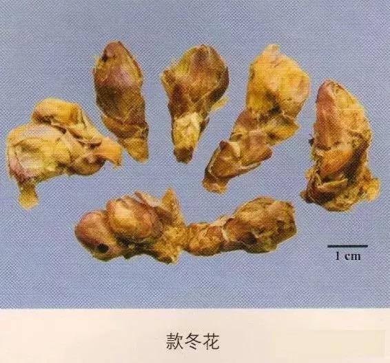 中药材图片大全大图带药名,200多味中药材图谱带图