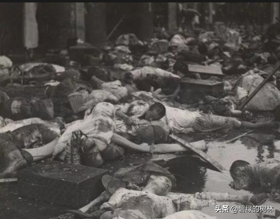 替日军暴行道歉,关于日本在华的暴行有何感想