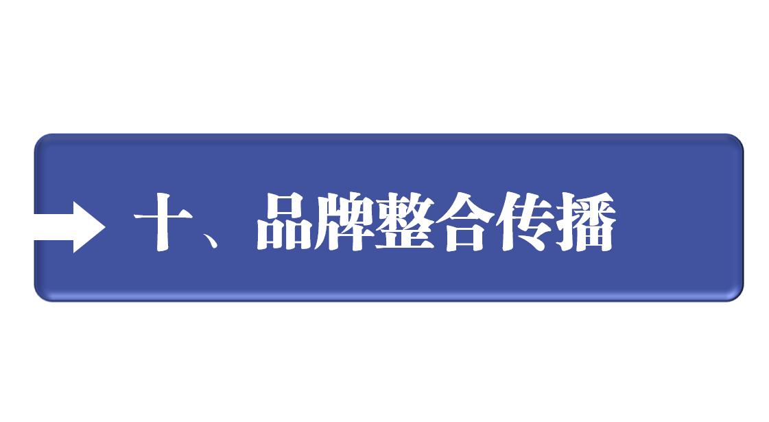 企业如何制定品牌营销策划,品牌营销战略管理方案设计模板