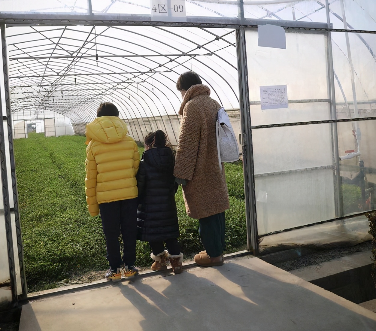 邓超带孙俪坐三轮,邓超带孙俪骑电动车