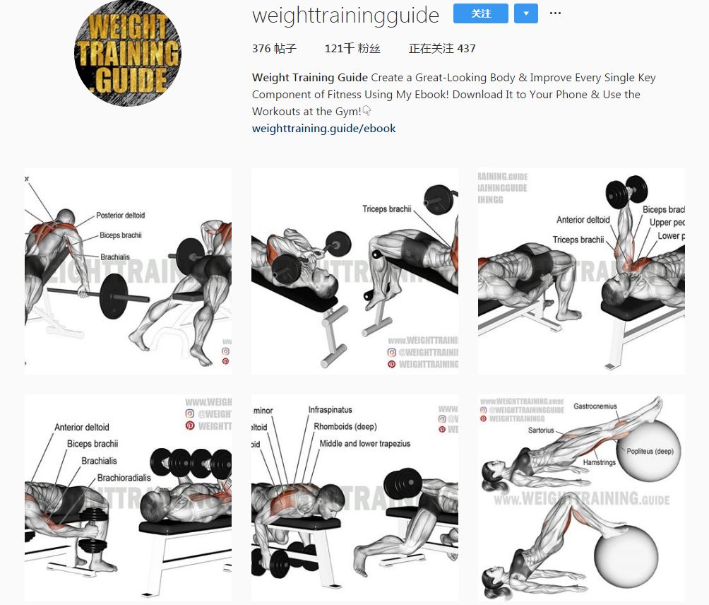 胸肩背臂腿腹训练动作,腰臀肌肉训练方法