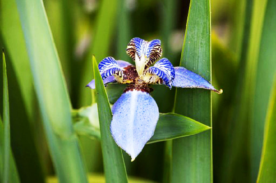 比较饱含深意的个性签名,好的个性签名简短又有意义