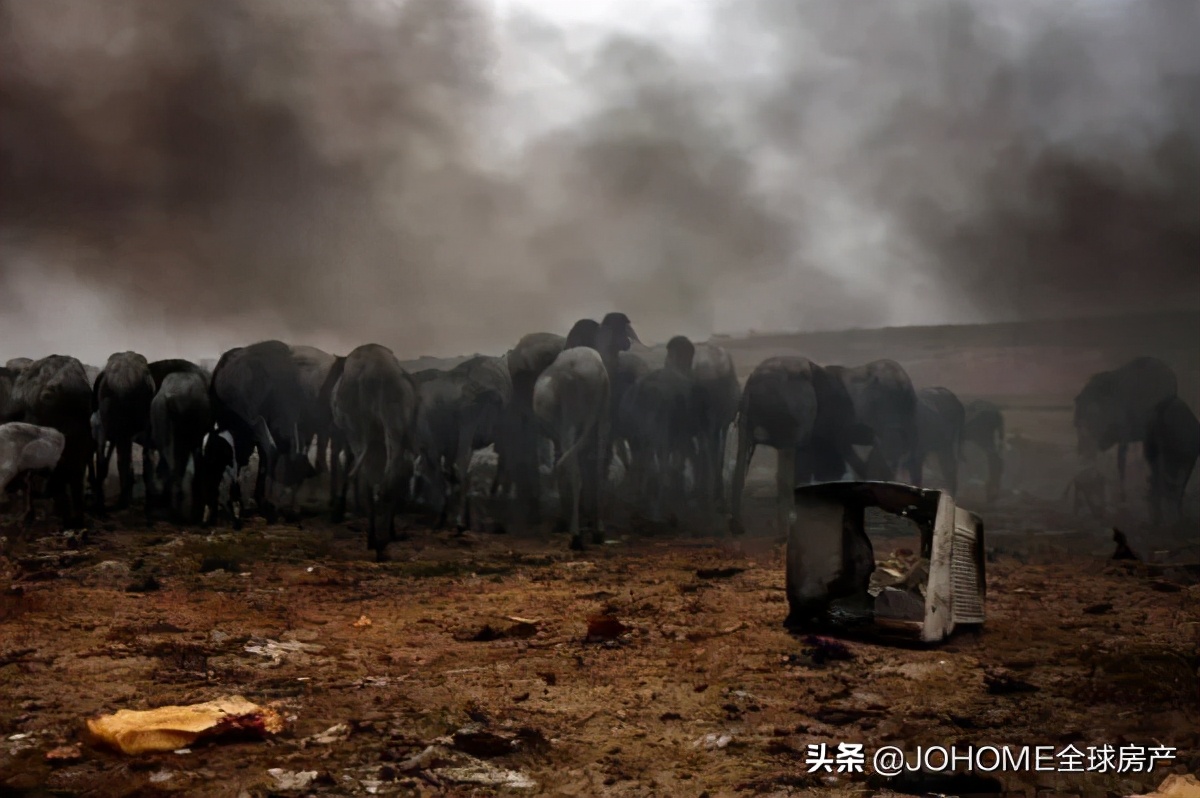 鍦ㄦ境娲茶喘涔癷phone,婢虫床璐拱iphone