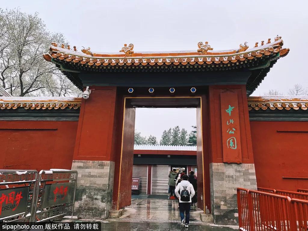 在这个距离*安门天**最近的公园，邂逅世界四大兰花展之一！过年看花就来这！