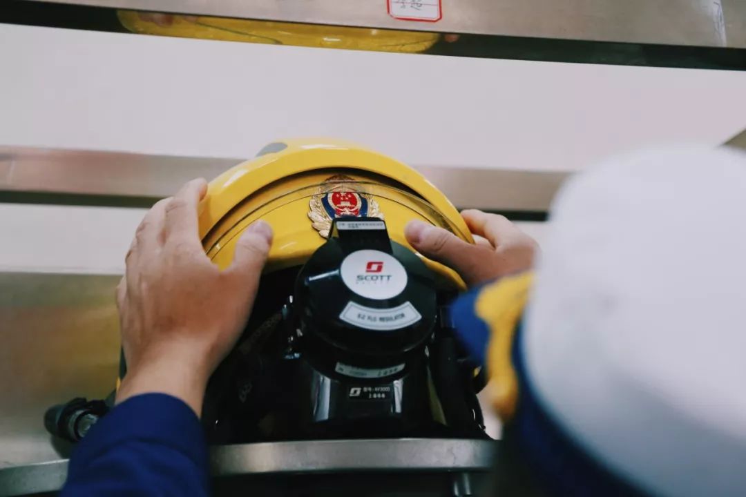 在江夏，我遇见了青松