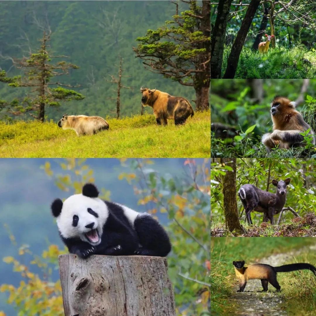 待疫情过后我们一起去南昌,疫情期间建议坐高铁出行