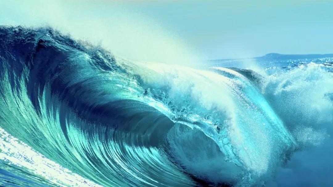 孩子必看海洋纪录片,海洋深处的未知生物纪录片推荐