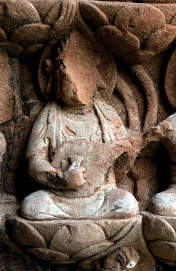 从印度来的佛,从印度出发到中国