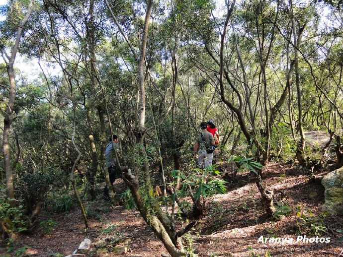 福建漳州浯屿岛,福建漳州东山岛鼓浪屿