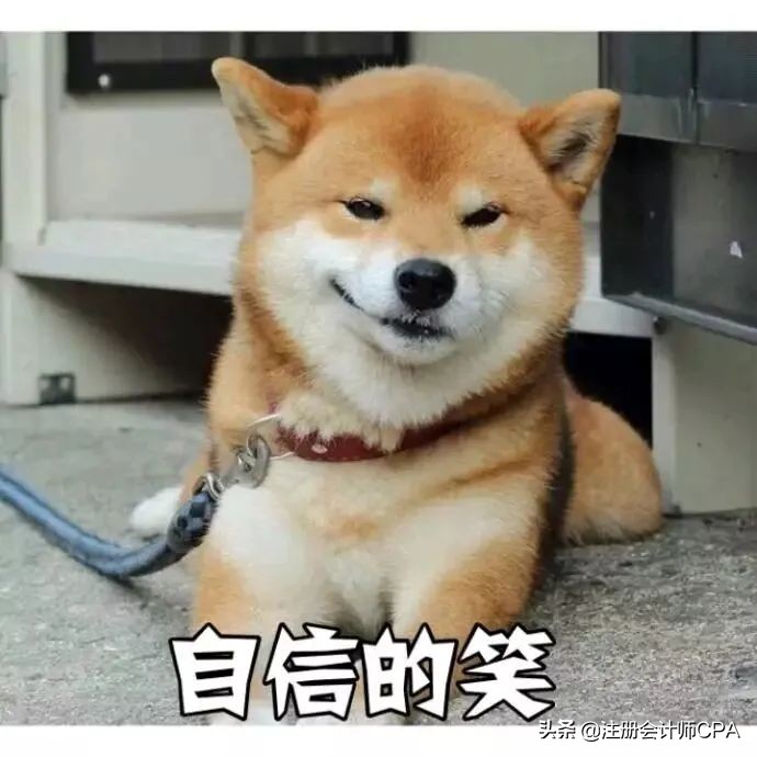 注册会计师机考模拟,注册会计师考试机考需要用铅笔吗