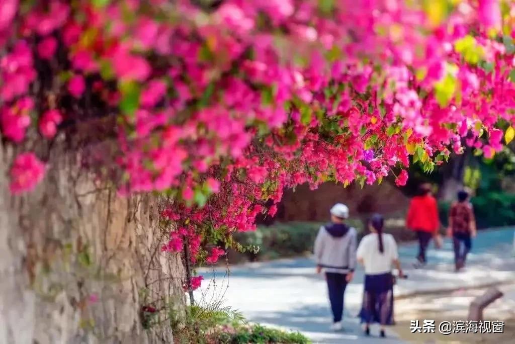 天津航母主题公园优惠政策,天津好玩的主题公园推荐